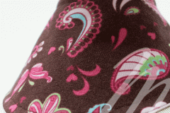 Paisley
